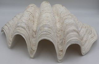 Large Clam Shell.