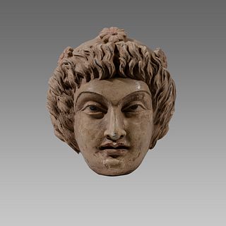 Gandharan Style Stucco Head of A Youth. 