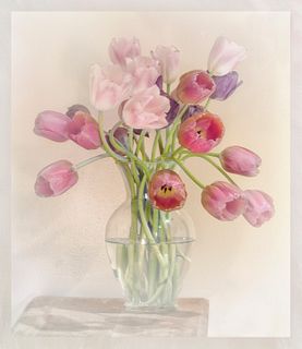 DOLORES FRANK, Tulips