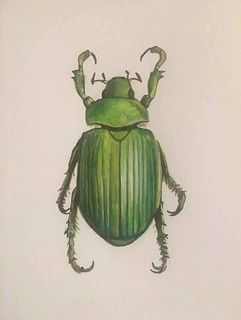 LAURIE GIBERSON, Green Beetle