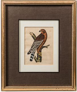 Pair of Framed Ornithological Lithographs,