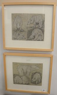 Two Framed Polar Bear Drawings, pencil and watercolor on paper, one signed indistinctly upper left and dated '1919' lower right, the other unmarked, s