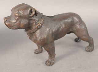 Contemporary bronze of a Pit Bull in a studded collar, unsigned, height 8 inches, depth 11 inches.