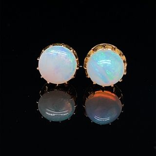 14k Opal Stud Earrings