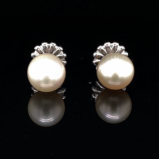 18k Pearl Earrings