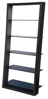 Modern Glass and Black Stained Bookshelf
