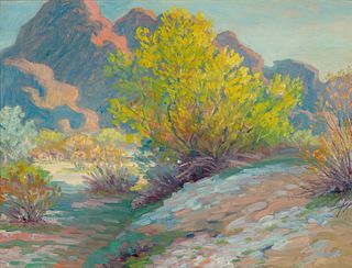 Albert Schmidt, Chamisa - Desert Landscape
