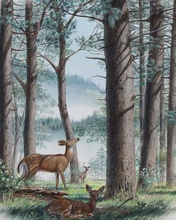 Don Balke (B. 1933) "Deer in Forest" Original W/C