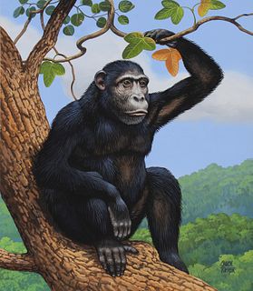 Chuck Ripper (B. 1929) "Chimpanzee" Original