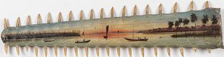 Painted Sawtooth Shark Bill