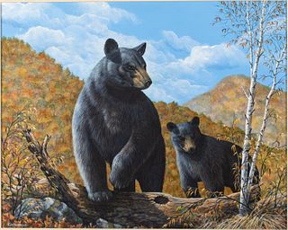 Richard Dellalonga, Bears, O/B