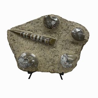 Hardstone / Fossil Modernized Sculpture