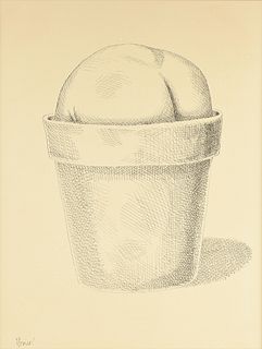 BRUCE MONICAL (American/Texas b. 1936) A PRINT, "Potted Lithops Succulent,"