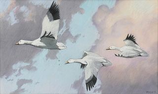 AL BARNES (American/Texas 1937-2015) A DRAWING, "Snow Geese in Flight," 