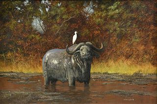 GERALD COULSON (British 1926-2021) A PAINTING, "African Water Buffalo in the Mud," 