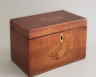 English Tiger Maple Shell Inlaid Double Compartment Tea Caddy, 19th Century