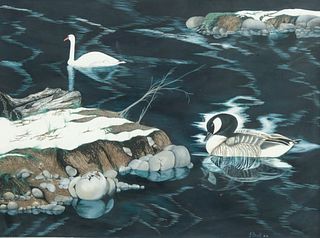 J. Brueckl, Gouache of Waterfowl