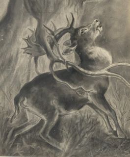 Charcoal Drawing Stag After "The Stag in Trouble"