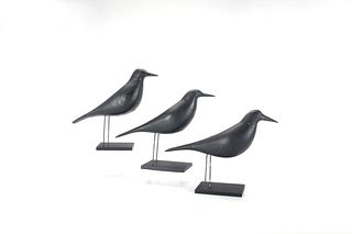 Crow Trio