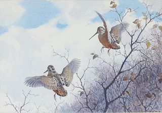 Aiden Lassell Ripley (1896-1969), Two Woodcock