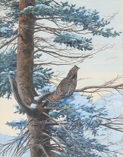 Louis Agassiz Fuertes (1874-1927), Ruffed Grouse in a Pine