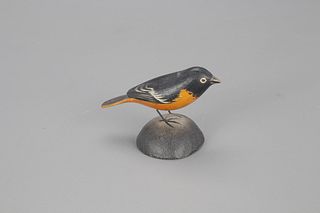 Miniature Baltimore Oriole, A. Elmer Crowell (1862-1952)