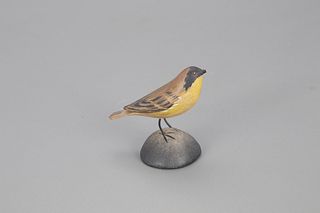 Miniature Maryland Yellow-Throated Warbler, A. Elmer Crowell (1862-1952)