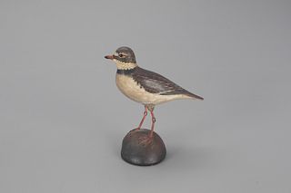 Rare Semi-Palmated Plover, A. Elmer Crowell (1862-1952)