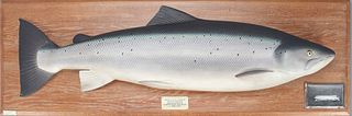 Atlantic Salmon Model, Hardy Brothers (Alnwick) Ltd.