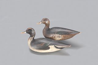 Rigmate Pintail Pair, The Ward Brothers