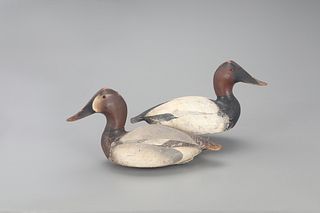 Classic 1936 Canvasback Pair, The Ward Brothers