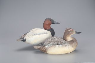 Decorative Canvasback Pair, The Ward Brothers