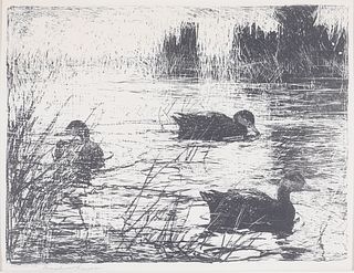 Frank W. Benson (1862-1951), Black Ducks