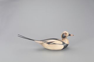 Long-Tailed Duck, William Gibian (b. 1946)