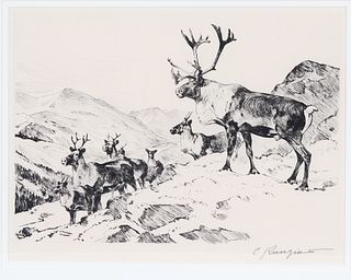 Carl Rungius (1869-1959), Mountain Caribou