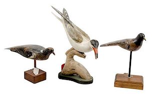 English Pigeon Decoys and Black Tern Carving by Lou Reineri 