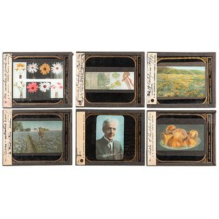 [EARLY PHOTOGRAPHY] -- [HORTICULTURE]. A group of 93 magic lantern slides and notes for a program on Luther Burbank. Boston, MA: E.W. Goodrich, Tremon