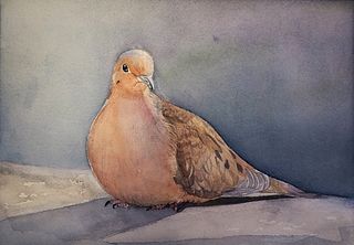 "Mourning Dove" by Aki Kano, Katonah, NY