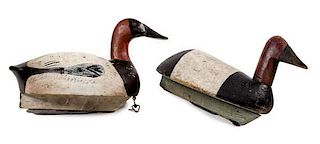 Michigan Canvasback Drakes by Mike Pavlovich 