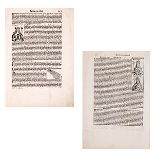 Schedel, Hartmann. Folium CCL. Grabado sobre papel del Serta Etas Mudi (Hoja incunable). Nuremberg Koreberg Anton 1493.