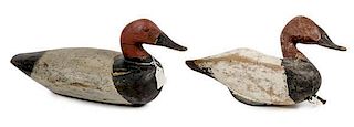 Two Canvasback Decoys 