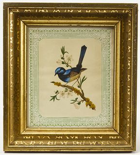 Four Fine Early Bird Watercolors