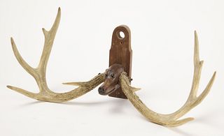 Folk Art Carved Deer Head with Real Antlers