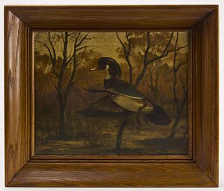 Painting of a Wood Duck