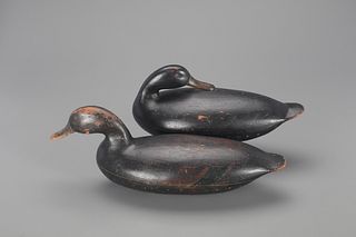The Will-Hunter Blair Black Duck Pair, John Blair Sr. (1843-1929) 