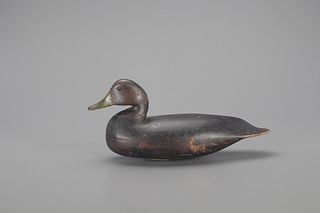 Black Duck Decoy, Charles Birch (1867-1956)