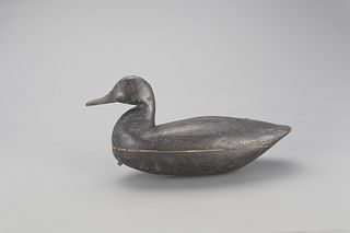 Early Black Duck Decoy, Charles Birch (1867-1956)