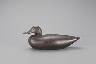 Black Duck Decoy, John Henry Downes (1863-1961)