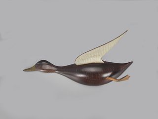 Exceptional Flying Black Duck, Chauncey Wheeler (1888-1945)