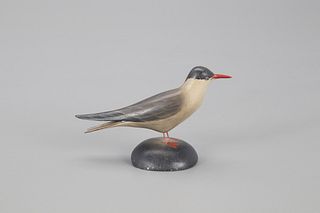 Half-Size Tern, A. Elmer Crowell (1862-1952)